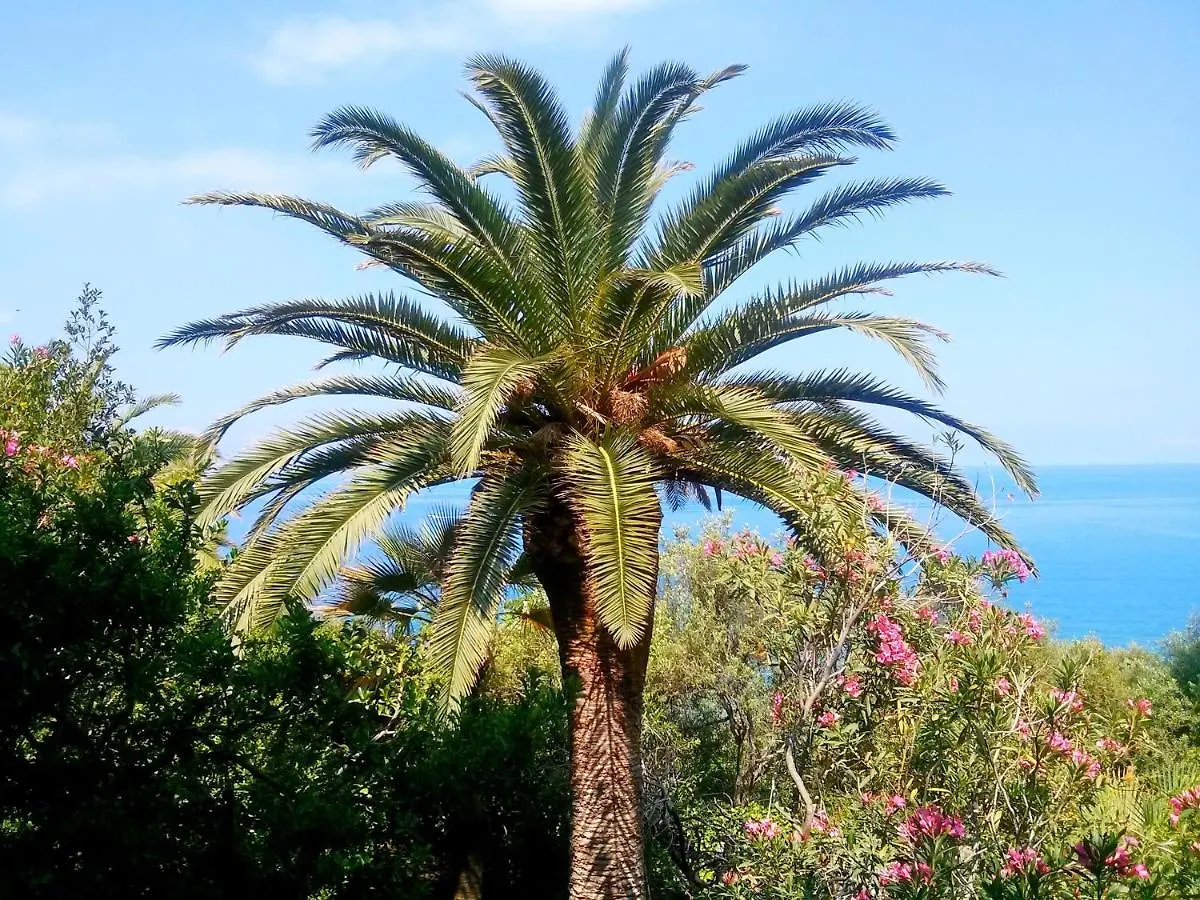 Casa Canape Villa Gioiosa Marea Italy